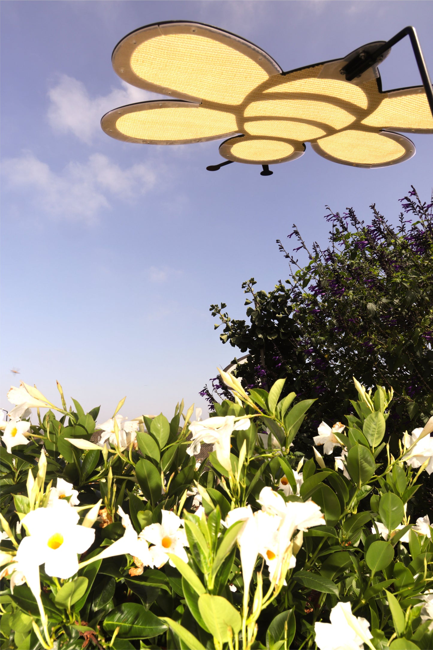 A Shade-A-Rella Super Sale! 24 inch Bee with black frame and light yellow 90% shade cloth hangs above lush bushes with white blooms, beside a subtle shade cloth holder, under a blue sky dotted with clouds.