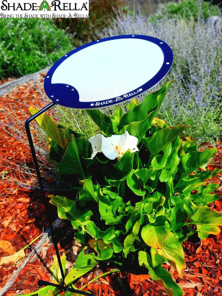 Circle Shade-A-Rella plant shade Plant Umbrella Choose your size 24’’ Circle Shade-A-Rella / White 70% cloth Shade