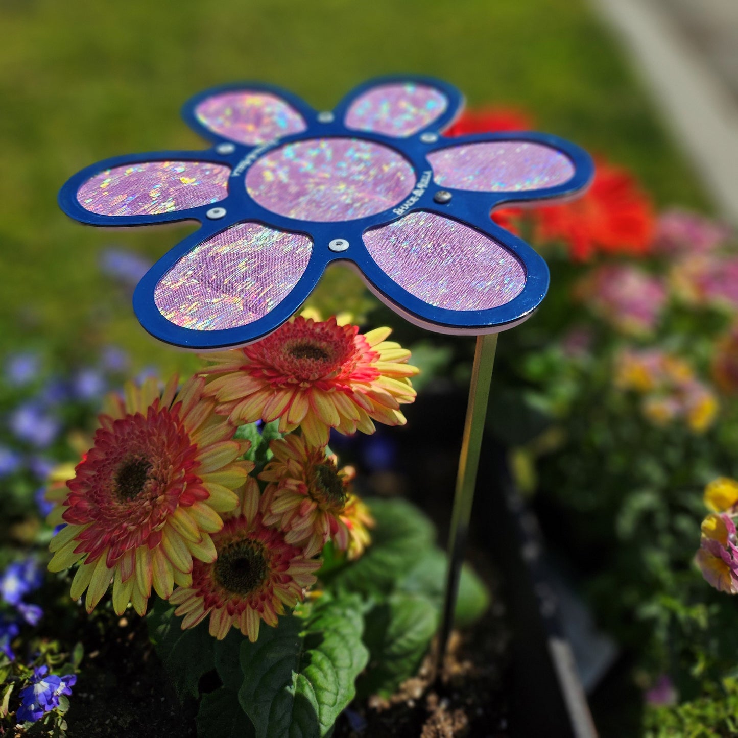 The 7.5 small Shimmer Flowers plant shade by Shade-A-Rella adds iridescent charm among blooming yellow and pink flowers, bringing shimmer cloth elegance to green grass and colorful blossoms in your garden bed.