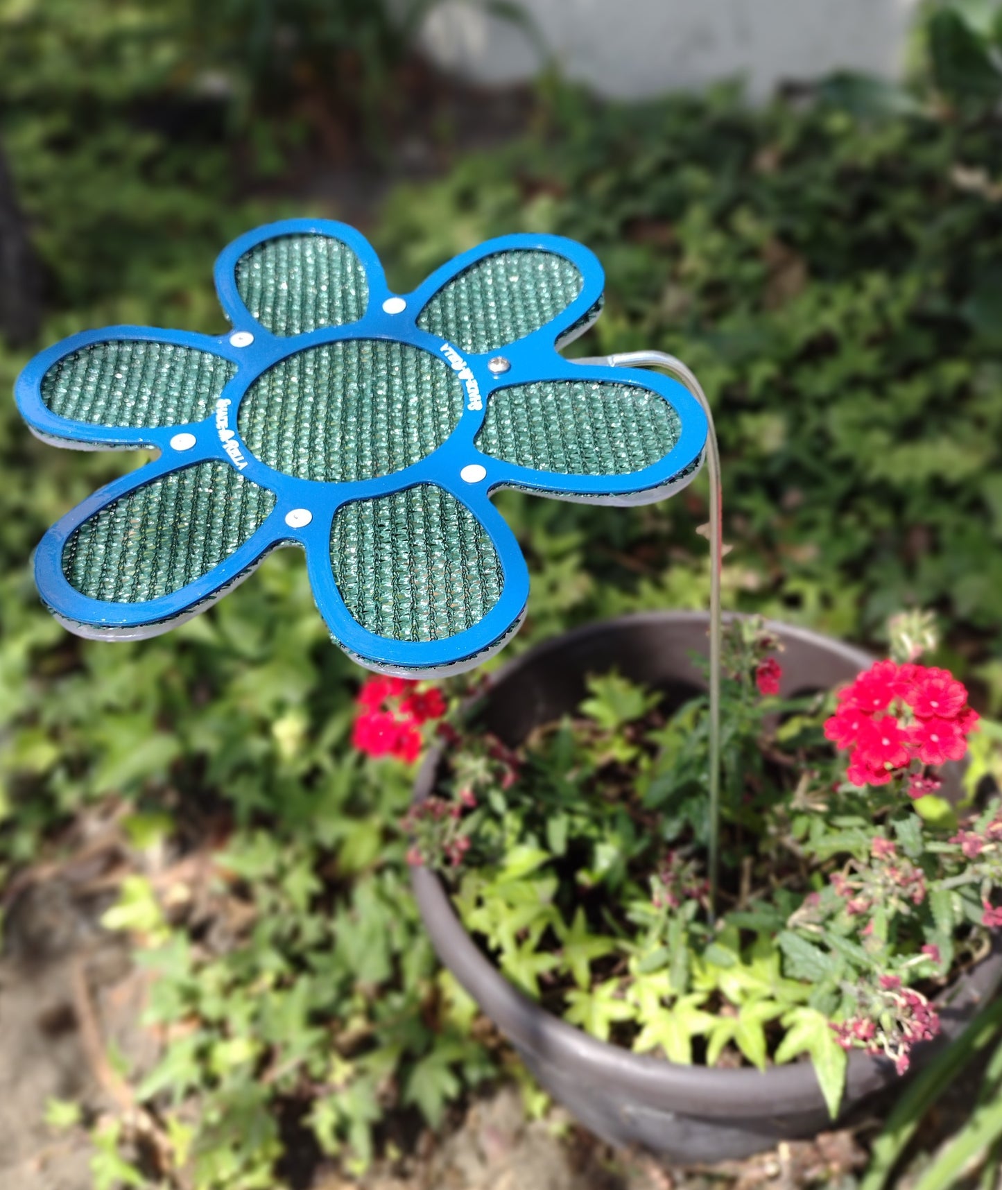 A Shade-A-Rella 7.5 inch small flower with a blue frame and green 86% shade cloth is displayed outdoors in a window box filled with green leaves and red flowers.