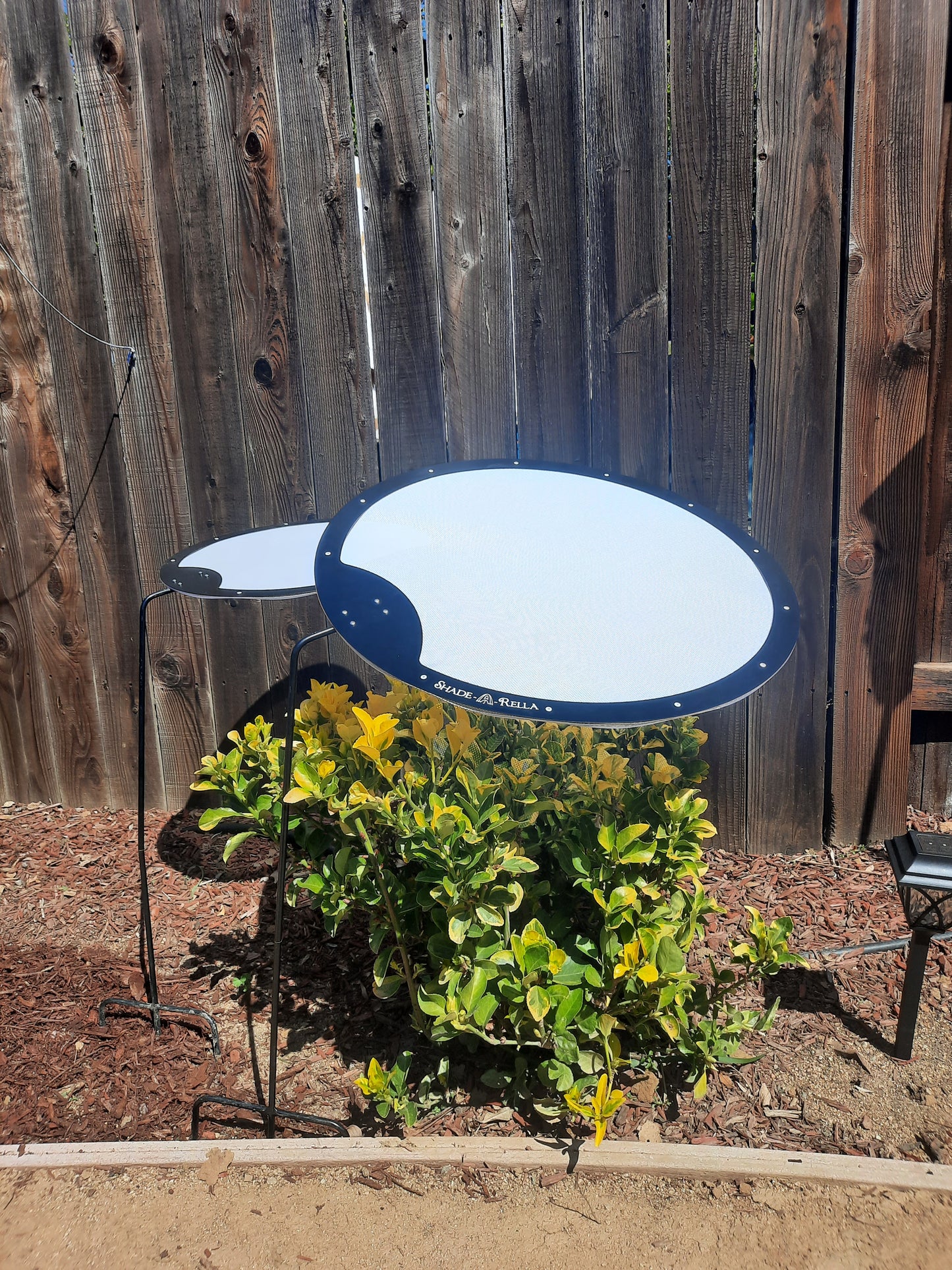 Circle Shade-A-Rella, plant shade, Plant Umbrella, 3 sizes
