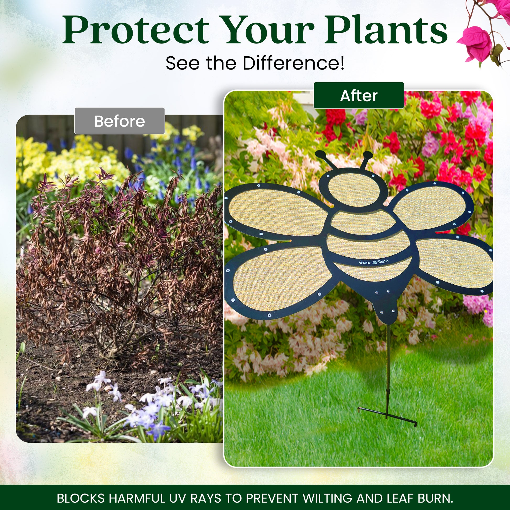 Side-by-side images of a garden bed: wilted plants labeled Before, and healthy, green ones under the Shade-A-Rella Super Sale! 24 inch Bee with black frame and light yellow 90% shade cloth labeled After, promoting UV protection.