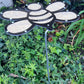 10 inch Bee, Black frame with light Yellow 90% shade cloth