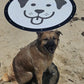 Limited Edition! Introducing the Pup-A-Rella! 24’’ round 70% shade cloth printed Puppy face plant shade plant umbrella