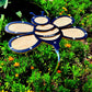 10 inch Bee, Black frame with light Yellow 90% shade cloth