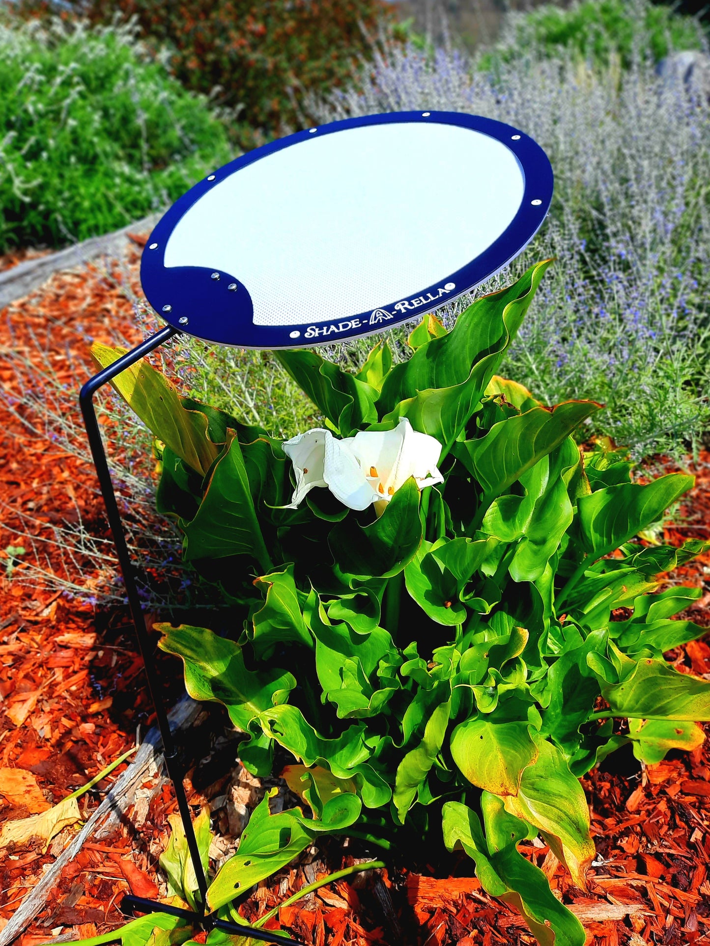 Circle Shade-A-Rella, plant shade, Plant Umbrella, 3 sizes