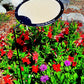 Circle Shade-A-Rella, plant shade, Plant Umbrella, 3 sizes