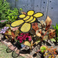 24 inch Bumblebee Shade-A-Rella, Plant Shade 60% shade