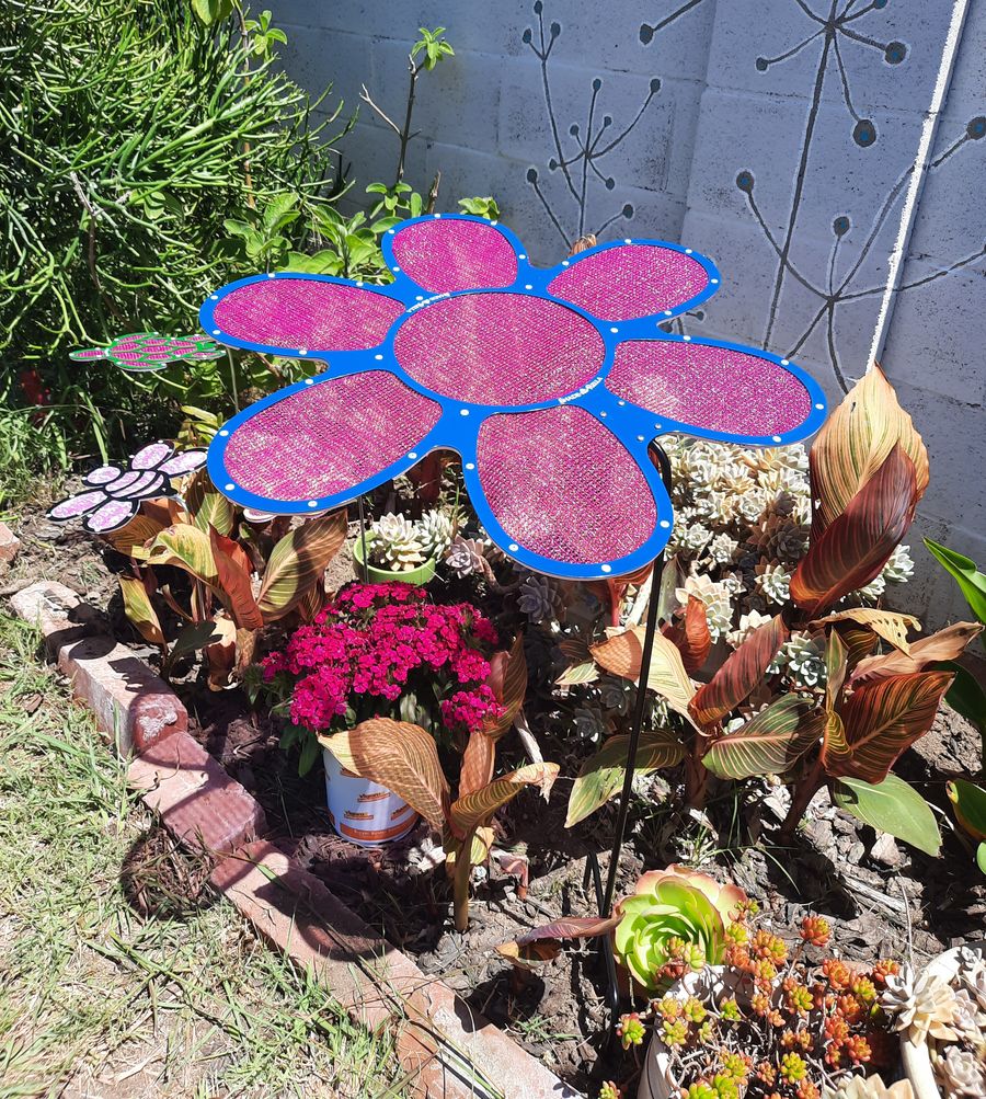 24 inch Blue and Magenta Flower Plant Shade 60% shade