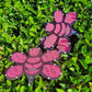10 inch small Bee, black with PINK 70% cloth